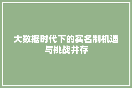 大数据时代下的实名制机遇与挑战并存  第1张