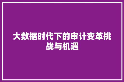 大数据时代下的审计变革挑战与机遇  第1张