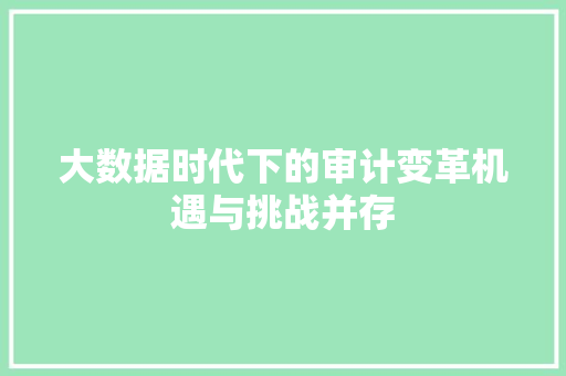 大数据时代下的审计变革机遇与挑战并存  第1张