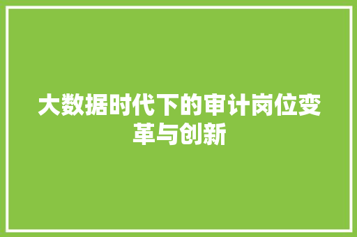 大数据时代下的审计岗位变革与创新  第1张