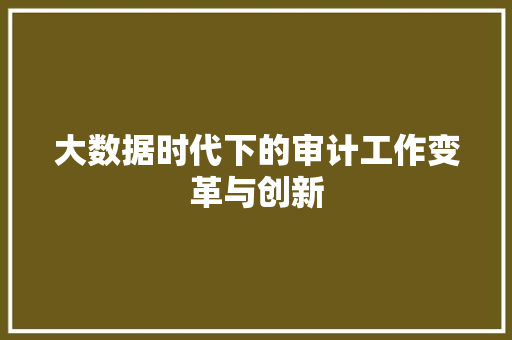 大数据时代下的审计工作变革与创新  第1张