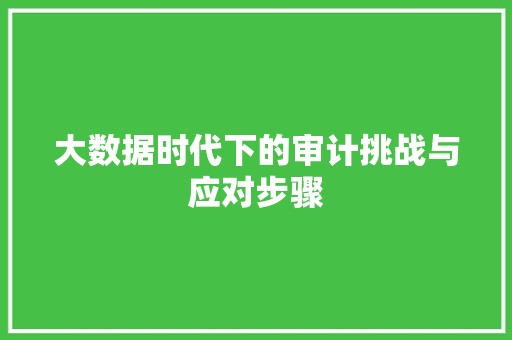 大数据时代下的审计挑战与应对步骤  第1张