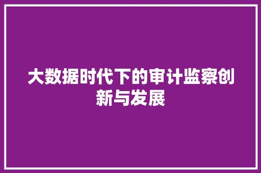 大数据时代下的审计监察创新与发展  第1张