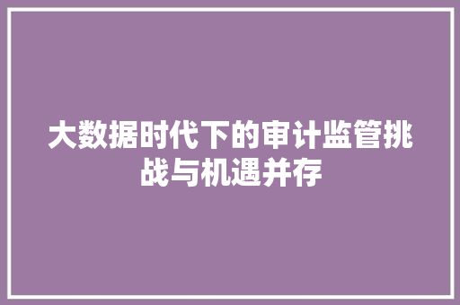 大数据时代下的审计监管挑战与机遇并存  第1张