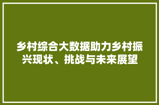 乡村综合大数据助力乡村振兴现状、挑战与未来展望