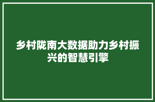 乡村陇南大数据助力乡村振兴的智慧引擎  第1张