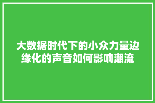 大数据时代下的小众力量边缘化的声音如何影响潮流