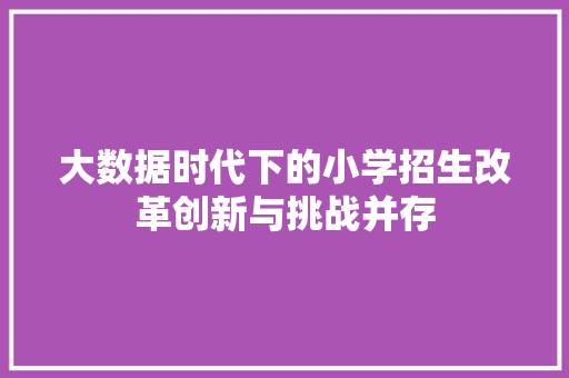 大数据时代下的小学招生改革创新与挑战并存