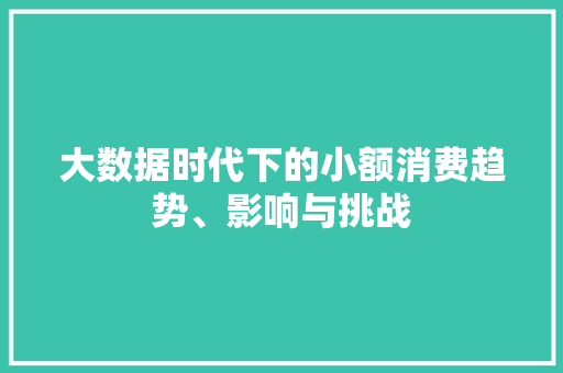 大数据时代下的小额消费趋势、影响与挑战  第1张