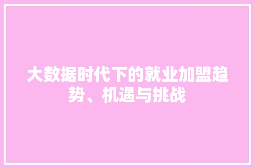大数据时代下的就业加盟趋势、机遇与挑战  第1张