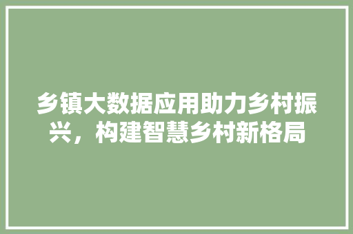 乡镇大数据应用助力乡村振兴，构建智慧乡村新格局