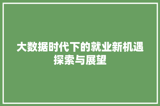 大数据时代下的就业新机遇探索与展望