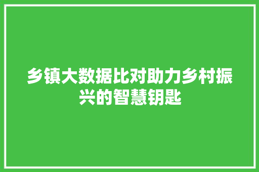 乡镇大数据比对助力乡村振兴的智慧钥匙