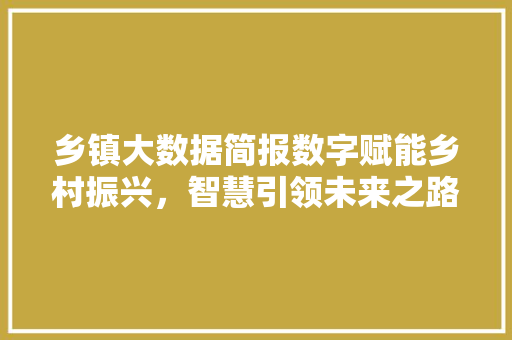 乡镇大数据简报数字赋能乡村振兴，智慧引领未来之路