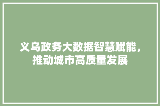 义乌政务大数据智慧赋能，推动城市高质量发展  第1张
