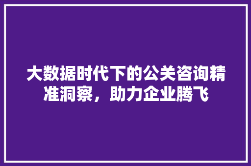 大数据时代下的公关咨询精准洞察，助力企业腾飞