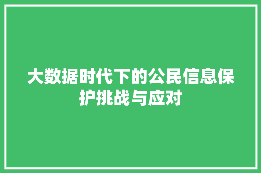 大数据时代下的公民信息保护挑战与应对  第1张