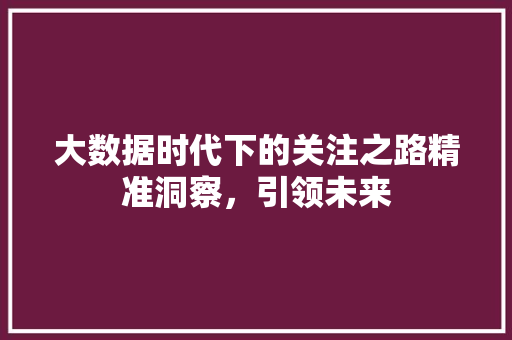 大数据时代下的关注之路精准洞察，引领未来  第1张