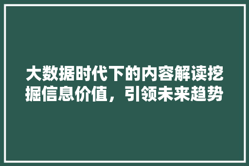 大数据时代下的内容解读挖掘信息价值，引领未来趋势