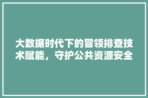 大数据时代下的冒领排查技术赋能，守护公共资源安全  第1张