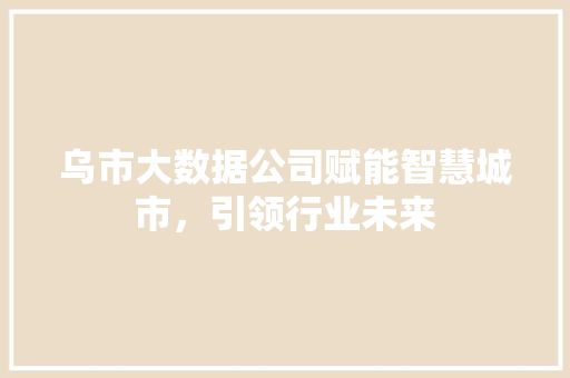 乌市大数据公司赋能智慧城市，引领行业未来