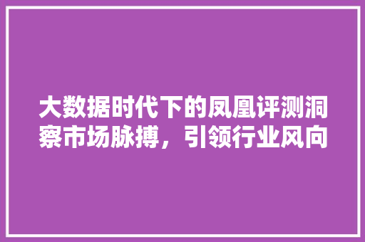 大数据时代下的凤凰评测洞察市场脉搏，引领行业风向标
