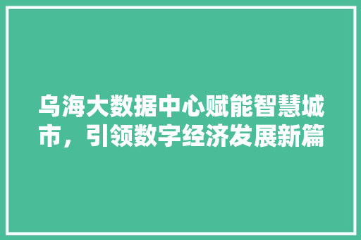 乌海大数据中心赋能智慧城市，引领数字经济发展新篇章