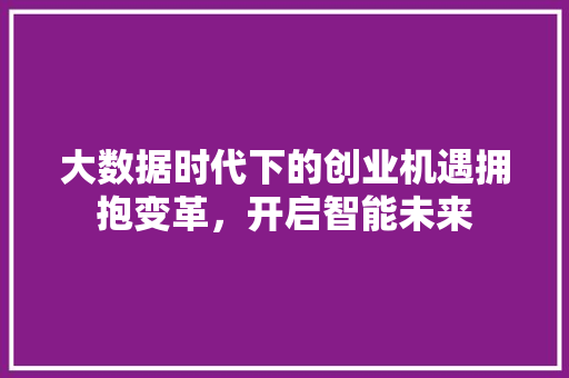 大数据时代下的创业机遇拥抱变革，开启智能未来  第1张