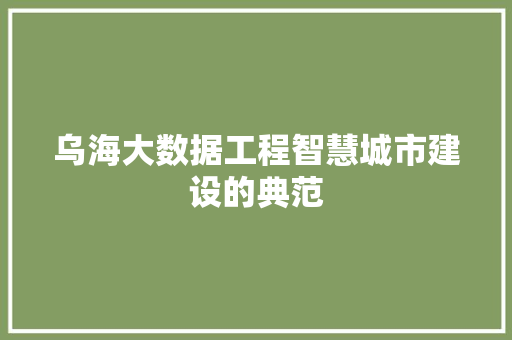 乌海大数据工程智慧城市建设的典范