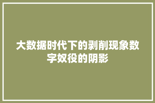 大数据时代下的剥削现象数字奴役的阴影  第1张