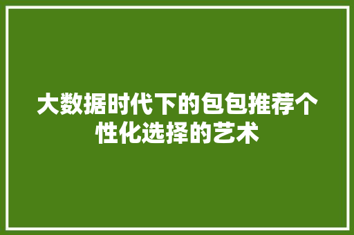 大数据时代下的包包推荐个性化选择的艺术  第1张