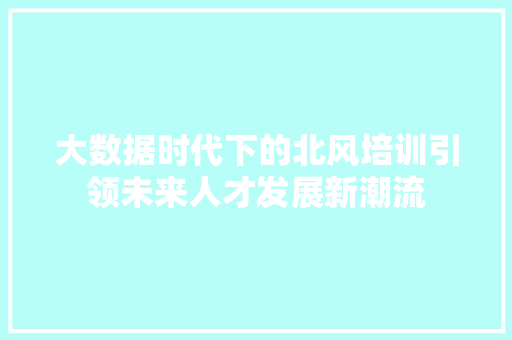 大数据时代下的北风培训引领未来人才发展新潮流