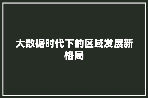 大数据时代下的区域发展新格局