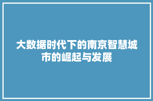 大数据时代下的南京智慧城市的崛起与发展