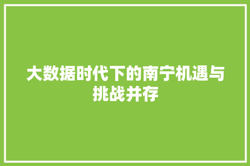 大数据时代下的南宁机遇与挑战并存