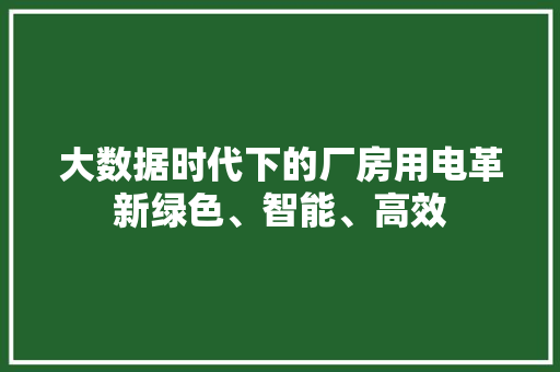 大数据时代下的厂房用电革新绿色、智能、高效  第1张