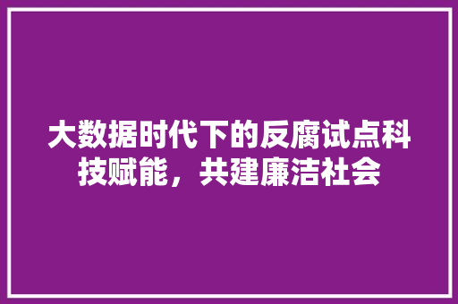 大数据时代下的反腐试点科技赋能，共建廉洁社会