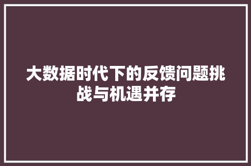 大数据时代下的反馈问题挑战与机遇并存