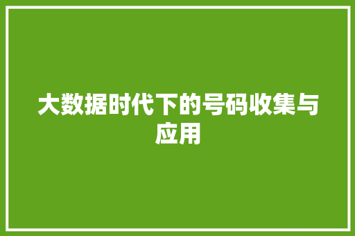 大数据时代下的号码收集与应用