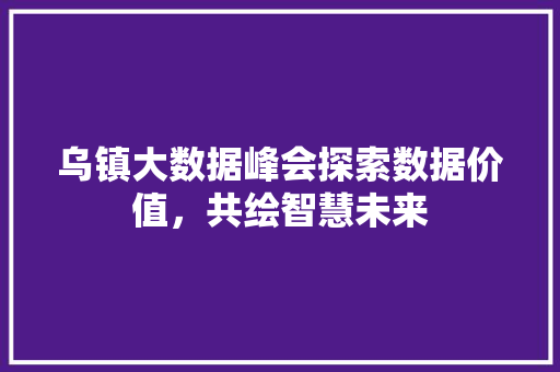 乌镇大数据峰会探索数据价值，共绘智慧未来  第1张
