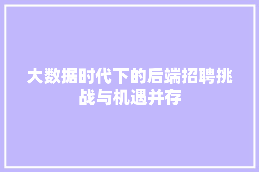 大数据时代下的后端招聘挑战与机遇并存