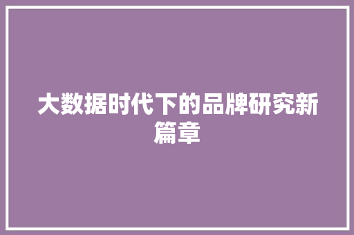 大数据时代下的品牌研究新篇章  第1张