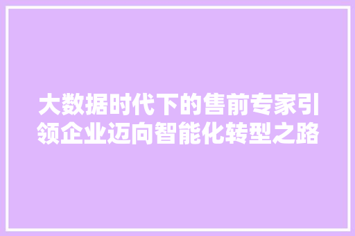 大数据时代下的售前专家引领企业迈向智能化转型之路