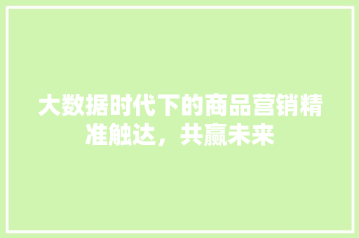 大数据时代下的商品营销精准触达，共赢未来