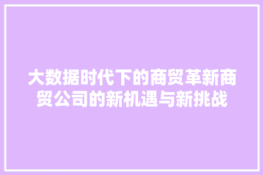 大数据时代下的商贸革新商贸公司的新机遇与新挑战