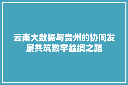 云南大数据与贵州的协同发展共筑数字丝绸之路