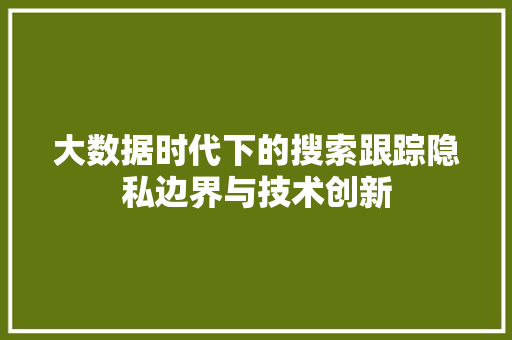 大数据时代下的搜索跟踪隐私边界与技术创新  第1张