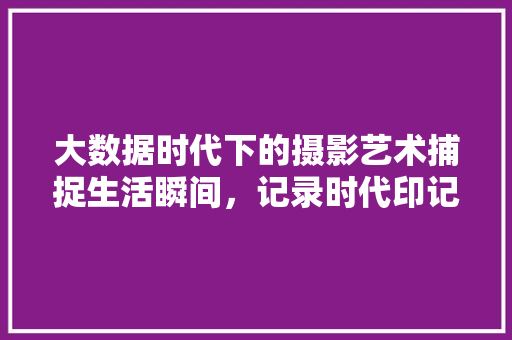 大数据时代下的摄影艺术捕捉生活瞬间，记录时代印记  第1张