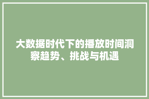 大数据时代下的播放时间洞察趋势、挑战与机遇