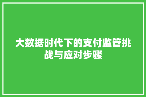 大数据时代下的支付监管挑战与应对步骤  第1张